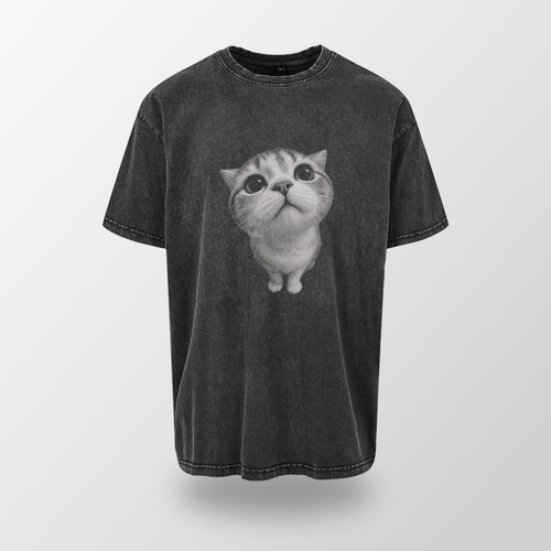 Acid Washed Heavy Oversize Tee BY189 (Cat)