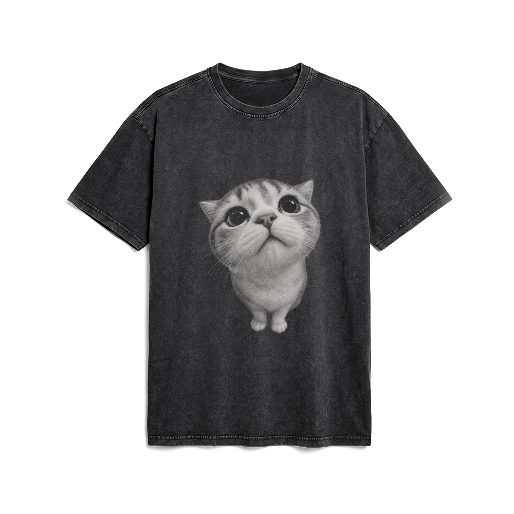 Acid Washed Heavy Oversize Tee BY189 (Cat)