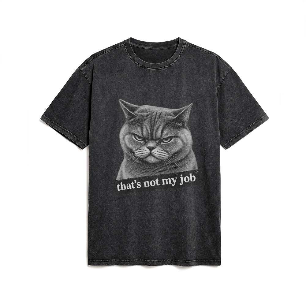Acid Washed Heavy Oversize Tee BY189 (That's not my job)