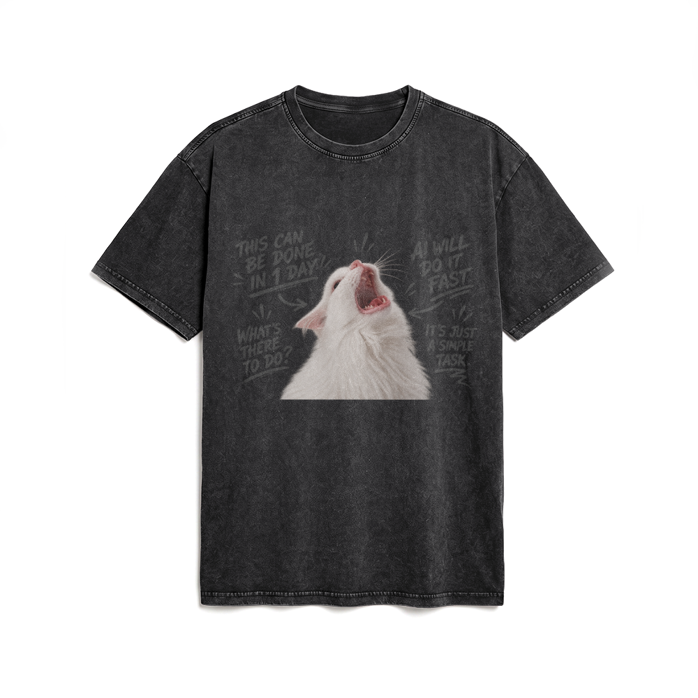 Acid Washed Heavy Oversize Tee BY189 (AI will do it fast)