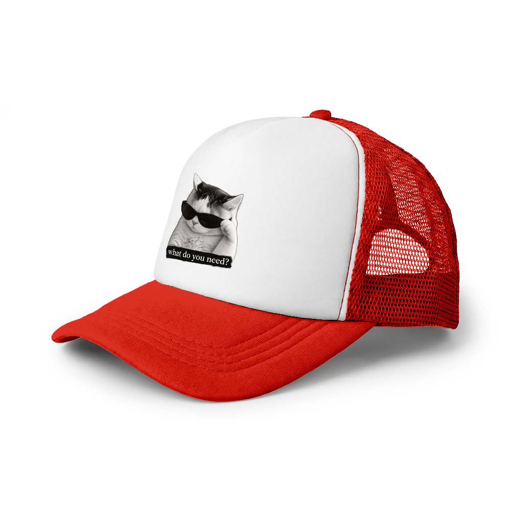 Czapka Trucker Cap (What do you need?)